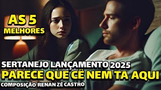 FIM DE RELACIONAMENTO - SERTANEJO  2025 LANÇAMENTO  MAIS TOCADAS COMPOSIÇÃO RENAN ZÉ CASTRO