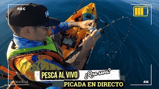 PESCA AL VIVO DESDE KAYAK ( PICADA EN DIRECTO ) 😮😮😮