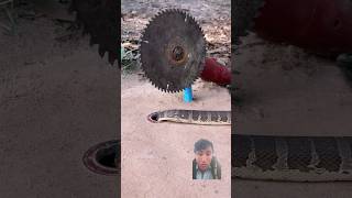 #snake #amazingtrap #automobile #easytrap #satisfying #handtrap #chainsaw #techniqueuniquetrap