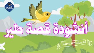 أنشودة قصة طير