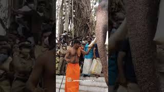 Ushasree Sankarankutty Mass Entry 🔥Thirunakkara Pooram 2022 ഉഷശ്രീ ശങ്കരൻകുട്ടി  തിരുനക്കര പൂരം 2022