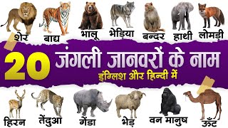 20 wild animals name in english and hindi with pictures | जंगली जानवरों के नाम हिंदी और अंग्रेजी में