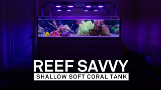 Reef Savvy: Shallow Soft Coral Tank