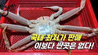 전국 최저가 말도 안되는 대게 가격...[부산 지역 필수 시청]