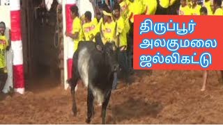 jallikattu | tirupur alagumalai jallikkatu new video 2018 |திருப்பூர் அலகுமலை ஜல்லிகட்டு |