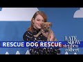 The Late Show 'Rescue Dog Rescue' With Emma Stone