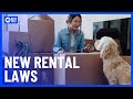 New Laws To Allow Renters To Keep Pets | 10 News First