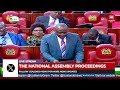 the national assembly proceedings