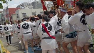 深川神明宮　例大祭　勇壮な水掛け祭　町神輿連合渡御（勢揃い）　2024/08/18  d2