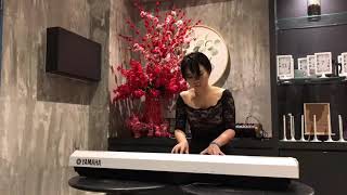 Ludovico Einaudi: "Experience" | Cover: Suanne Tan [Live: Dinner Performance | Excerpt II of II]