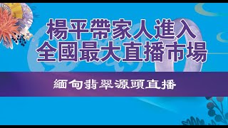 8.15缅甸翡翠源头直播！杨平带家人进入全国最大直播市场！点菜！有求必应