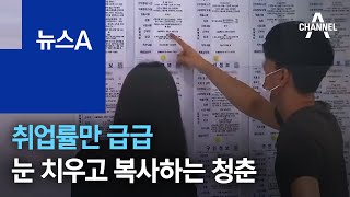 취업률만 급급…눈 치우고 문서 복사하는 청년 일자리 | 뉴스A