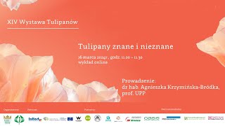 „Tulipany znane i nieznane” | wykład – XIV Wystawa Tulipanów