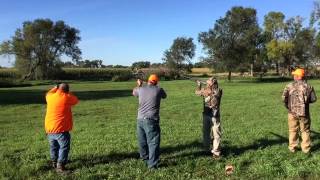 Pheasant Paradise