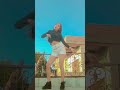 yimmy yimmy new video viralshort dance youtubeshorts trending love explore yimmyyimmy