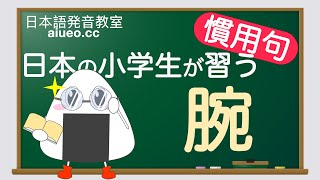 【日文慣用句】【腕】日本小學生必學的日常用語解說及例句朗讀練習（日文自學教程）JLPT