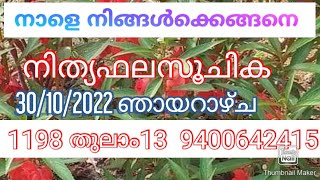 നാളെ നിങ്ങൾക്കെങ്ങനെ നിത്യഫലസൂചിക 30/10/2022 ഞായറാഴ്ച 1198 തുലാം13 9400642415