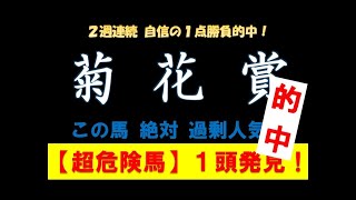 菊花賞2019 2週連続 自信の1点勝負的中！　この馬 絶対 過剰人気！【絶望データ】超危険馬1頭発見！