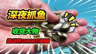 深夜10点半郊外野采鳑鲏鱼，臭水沟意外收获2斤大鲤鱼，这波爽了