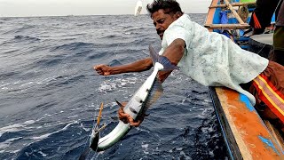 Catching Needle Fish, Diamond Trevally \u0026 Barracuda Fish in the Sea