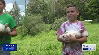 4-H members prepare for the 181st annual Chemung County Fair