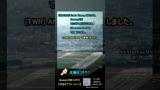 滑走路上にカラス｜離陸が一時中断｜出発機渋滞｜2024.10.19 #元祖大阪空港ライブカメラ 【切抜きプラス・ショート】