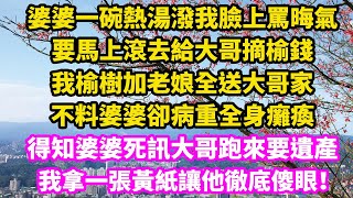 婆婆一碗熱湯潑我臉上罵晦氣，要馬上滾去給大哥摘榆錢，我榆樹加老娘全送大哥家，不料婆婆卻病重全身癱瘓，得知婆婆死訊大哥跑來要遺產，我拿一張黃紙讓他徹底傻眼！