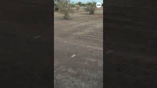 A seemingly open lot sits neglected in Phoenix. It's a cemetery