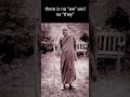 Ajahn Chah | Who Suffers?