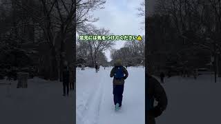 北大生から受験生へ⚠️ #shorts #受験 #受験生 #北海道大学 #共通テスト #現役生 #浪人生