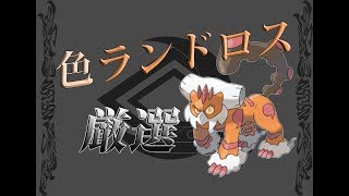 《ポケモンUSM》色ランドロスGETだぜ～～～!!