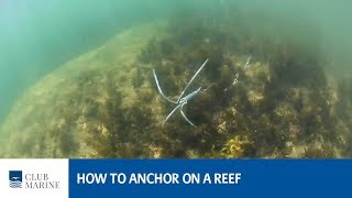 How to anchor on a reef with Al McGlashan  | Club Marine