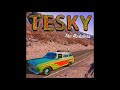 The Raddlers - Tesky (Official Audio)