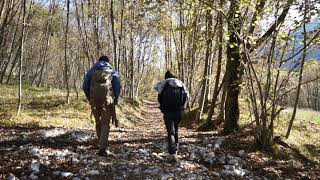 Sounds of Trekking - Camminata lungo il Torre - ASMR