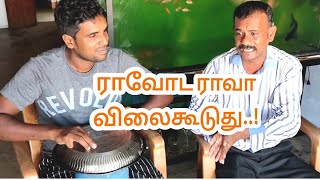 Akt/ராவோட ராவா விலைகூடுது| Akaram thuji