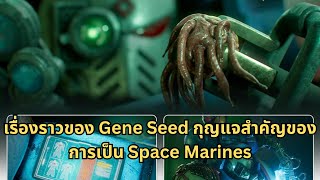 Gene Seed กุญแจทางพันธุกรรมที่เป็นหัวใจของ Space marines และการสร้างอันน่าพิศวง