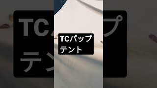 TCパップテント一ヶ月張りっぱなしにすると　＃パップテント　#キャンプ　＃TCテント