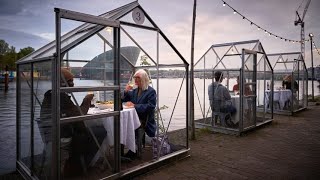 In this anti-Coronavirus restaurant you can dine in greenhouses surrounded by a magical atmosphere