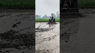 আপনার এলাকায় কোনটা বেশি চলে? #automobile #tractorbd #farmequipment #bdfarmers #farmingtractor