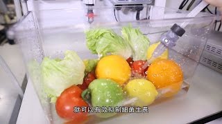 食品餐飲業 一仙殺菌消毒好幫手