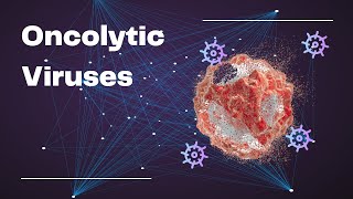 Oncolytic Viruses: A Treatment for Cancer?