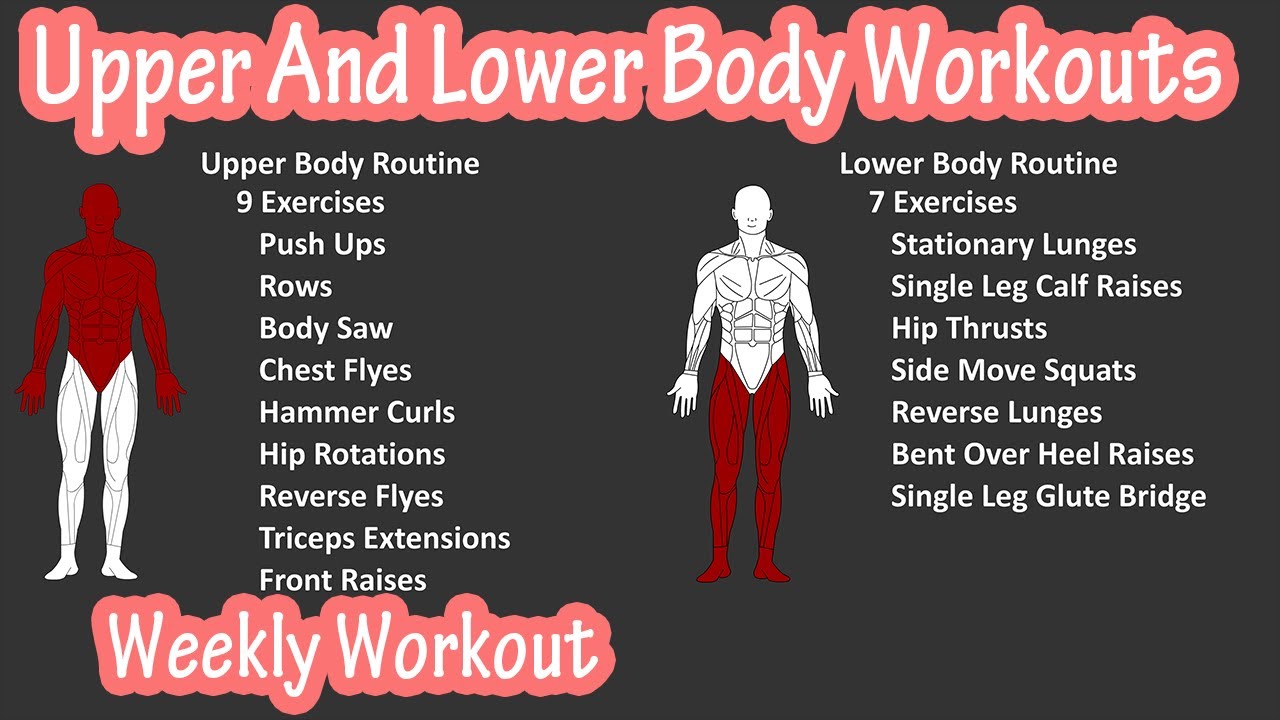 Upper Lower Body Split Workout Routine Eoua Blog