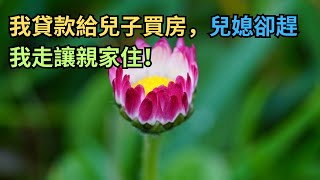 【情感故事】我貸款給兒子買房，兒媳卻趕我走讓親家住！