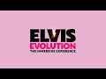 Elvis Evolution : The Immersive Experience