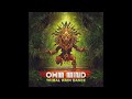 Ohm Mind - Tribal Rain Dance - Full Album (Downtempo/Psychill/Psybient)