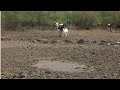 WFP appeals for $204 for southern Africa emergency food aid