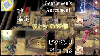 ピクミン3　延長戦　天と地の狭間ビンゴバトル　ピクミン10匹Ver　紳士協定　Pikmin bingo battle ~extra inning　皮克敏