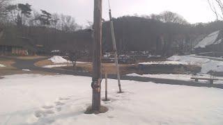 みちのく民俗村ライブ 2023.02.25 08:33