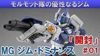 ガンプラ☆MGジム・ドミナンス＃01開封編『機動戦士ガンダム外伝 ザ・ブルー・ディスティニー』