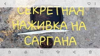 Секретная наживка на САРГАНА.